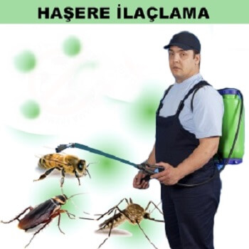 Beşikdüzü Böcek İlaçlama